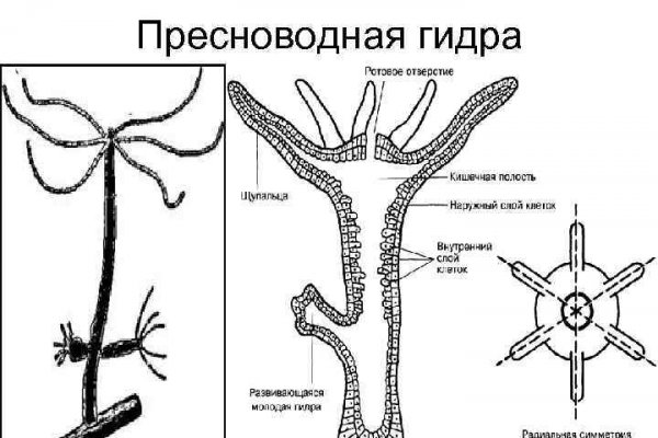 Что такое кракен маркетплейс