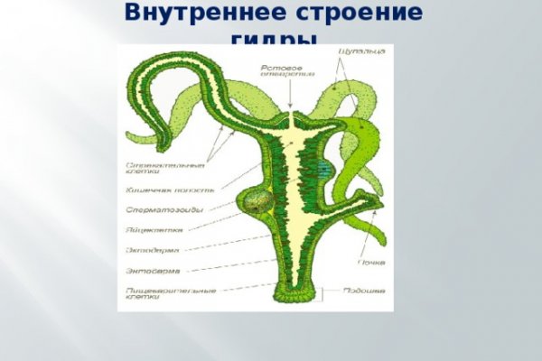 Кракен ворует аккаунты